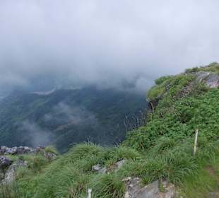 Phu Chi Fa - mountain and national forest park