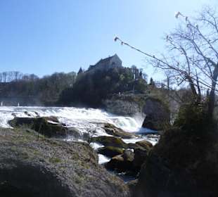 Rheinfall