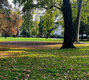 Stadtgarten