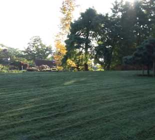 Botanischer Garten