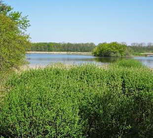 Rundgang durch das Naturschutzgebiet Riddagshausen