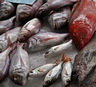 Fischhalle