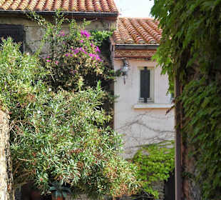 Impressionen aus der Altstadt von Collioure