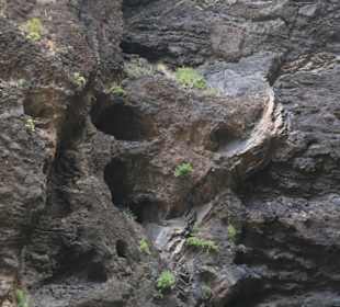 Sieht aus wie eine Totenmaske