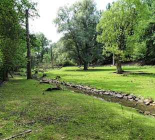 Das Gehege der Hirsche im Tierpark Röhrensee