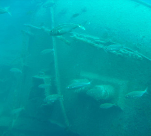 Tauchen mit dem U-Boot