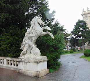 Ландшафт на площади