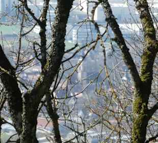 TraumRunde Schwanberg: Blick auf Iphofen