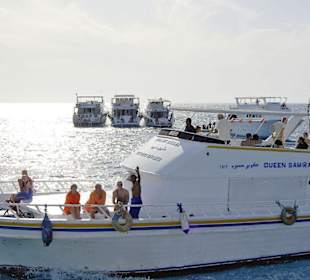 Andere Schnorchelschiffe