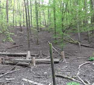 Walderlebnisweg Rottenburg