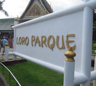 Eingang "Loro Parque"
