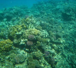 Ausflug halbes U-Boot