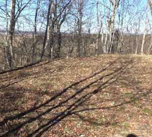 Ödenburg Oberstetten