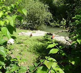 Schönes Plätzchen für die Vögel