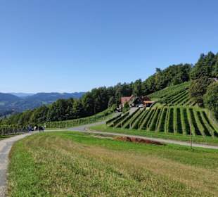 Glanzer Weintour mit Weinkultur