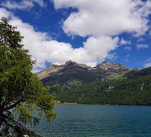 Silvaplana See