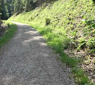 Griesbacher Wasserfälle Bad Griesbach