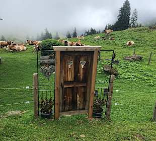 Wandern Dienten