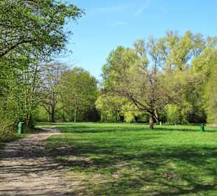 Eindrücke von den Ricklinger Kiesteichen