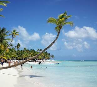 Isla Saona