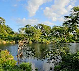 Mzima Springs at Tsavo West