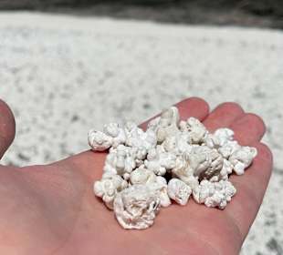 Strandwandern Costa Calma