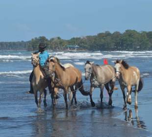 Playa Negra am Cahuita-Nationalpark