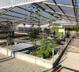 Rhizolab im Experimentellen Botanischen Garten