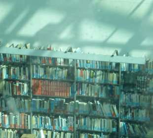 Blick vom Dachgarten in die Universitätsbibliothek