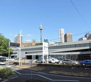 Mit dem Hop-on hop-off Bus in Sydney unterwegs