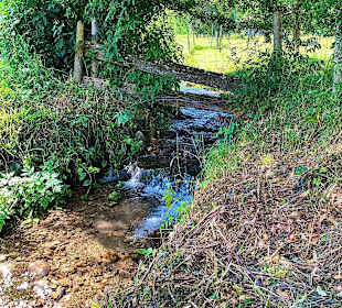 Wandern Weitnau
