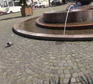 Sebastian-Münster-Brunnen