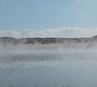 Seenebel am Strand