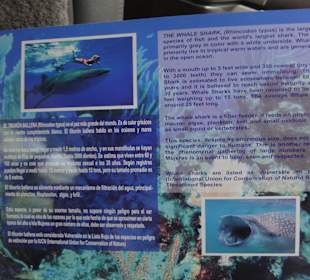 Bestätigung nachher