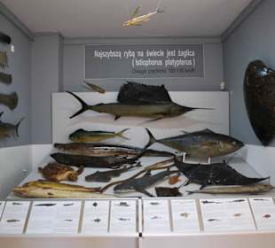 Muzeum Rybołówstwa Morskiego