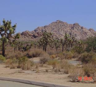 Joshua Tree National Park