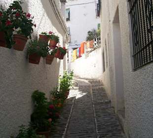 Wunderschöne Gasse in Pampaneira