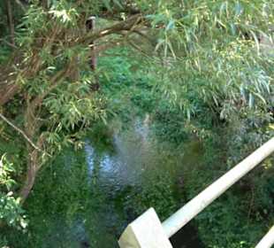 Pump-Wasserkraftwerk Mühle