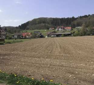 Waldlehrpfad an der Lauter