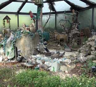 Erlebnispark Tripsdrill