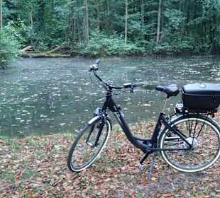 Kurpark Bad Oeynhausen und die Umgebung