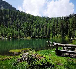 Wandern Selva dei Molini / Mühlwald