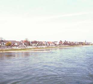 Rhein-Schifffahrt mit der Köln - Düsseldorfer