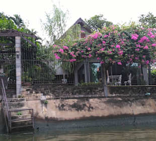 Mit Green Mango die Klongs von BKK entdecken.