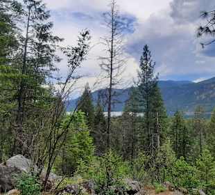 ..trotz trübem Wetter..gute Stimmung!