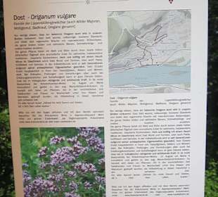 Impressionen Kräuterweg in Assmannshausen