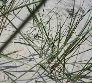 Yachthafen Heiligenhafen