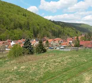 Wandern Nahetal-Waldau