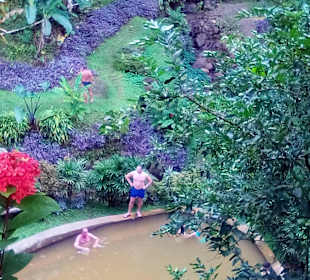 Mineralbäder im Regenwald