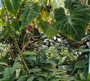 Botanischer Garten 